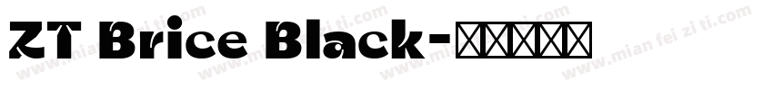 ZT Brice Black字体转换